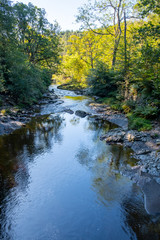 river in north wales in the woods 