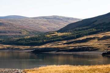 Fototapeta premium Herbststimmung am Hvalfjörður /Hvalfördur nahe Borgarnes auf Island