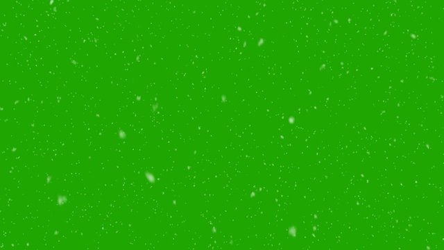 Isolated Calm Snow falls vertically down Loop Greenscreen 