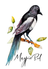 Новый документ 2019-09-30 09.02.06