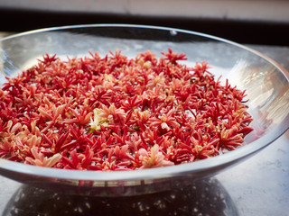 bowl of red flower