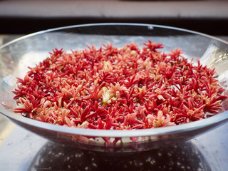 bowl of red flower