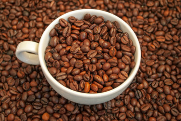 cup filled with coffee beans on a coffee background