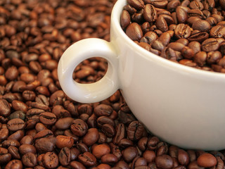 cup with coffee beans and cinnamon sticks	