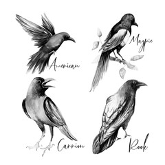 Новый документ 2019-09-30 09.02.06