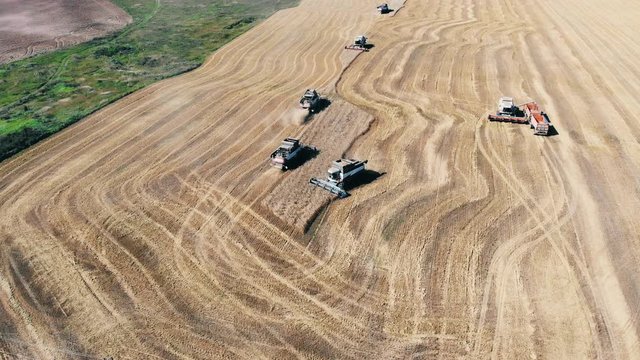 Working combiners plow a big field. Aerial view.