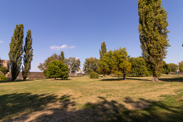 Beginning of autumn, landscape in a park with large trees on a f