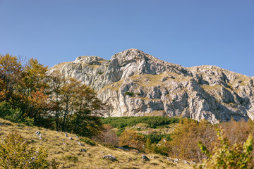 landscape in the mountains