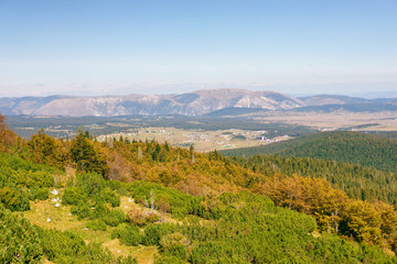 Fototapeta premium landscape with mountains and trees