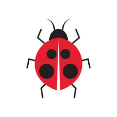 Lady bug graphic design template vector isolated