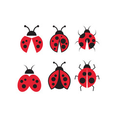 Lady bug graphic design template vector isolated