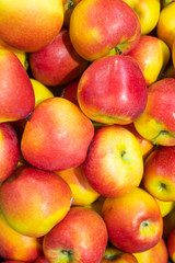 Ripe colourful apple pile, red and yellow colours, bright. fruit background