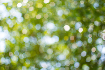 Out of focus background, bright bokeh