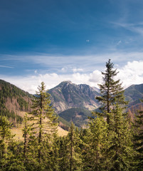 Kominiarski Wierch in Tatra Mountains, Poland - view from path to Grzes - trekking in autumn - obrazy, fototapety, plakaty