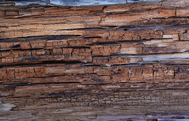 Rotten and weathered wood, rotten wood texture