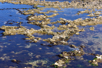 Strange rock formations at Devil's tears cliffs at Nusa Lembongan island, Indonesia 