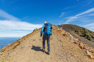 Fototapeta premium 頂上まであと少しの登山道