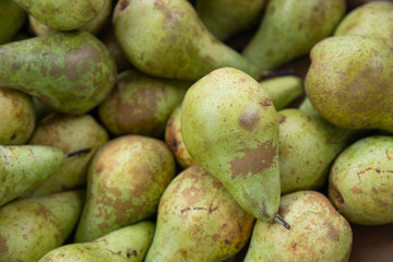 Green fresh delicious ripe pear pile, fruit pear close-up for background, healthy snack, diet