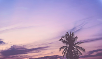 Fototapeta na wymiar Silhouette coconut trees on the beautiful sunset sky