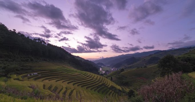 Time-lapse 4k: Vietnam landscapes. Rice fields on terraced of Mu Cang Chai, YenBai, Vietnam. Royalty high-quality free stock timelpase footage of beautiful terrace rice fields prepare the harvest
