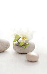 Obraz na płótnie Canvas SPA still life - pebbles and flowers