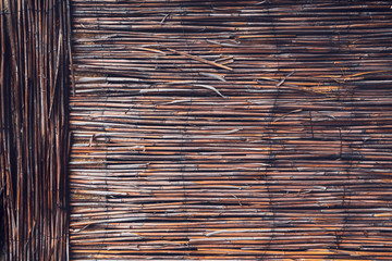 Dry reed straws as background