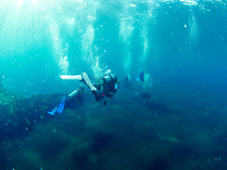 Fototapeta na wymiar Scuba diver with coral