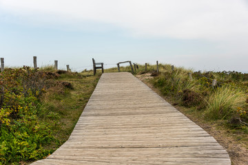 Fototapeta premium Footpath through dunes