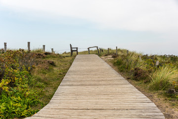 Fototapeta premium Footpath through dunes