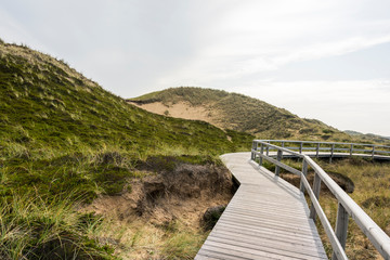 Footpath through dunes