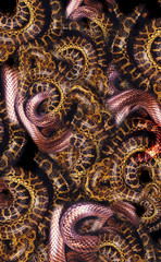 Leopard Pattern. Leopard Print. Leopard Texture. Leopard background. Animal Skin For Textile Print, Wallpaper.Geometric And Ethnic Animal Texture Art Abstract Background. Scarf, Print, Fabric