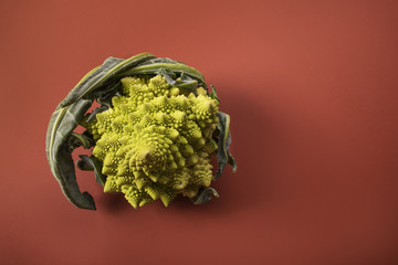 Grren organic cabagge, polineska sort on brown background