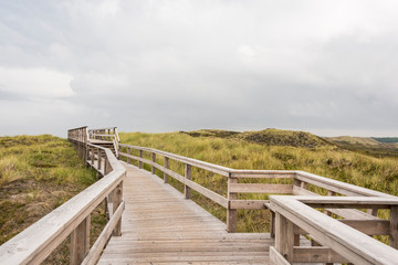 Fototapeta premium Footpath through dunes