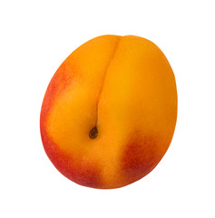 Apricot isolated on white background with clipping path