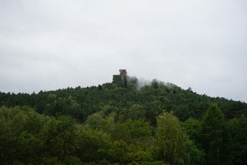 Fototapeta na wymiar Drachenfels, Pfalz