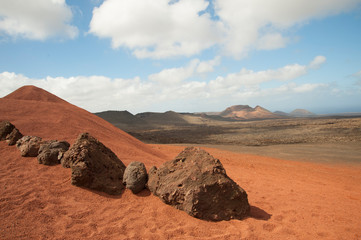 capture of Lanzarote canary 