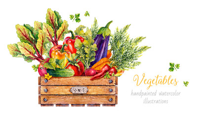 Vegetables in a wooden box. Watercolor illustration