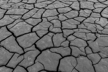 close-up detail of cracked soil mud pattern