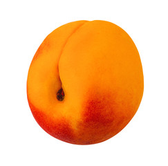 Apricot isolated on white background with clipping path