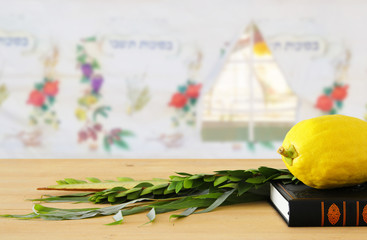 Jewish festival of Sukkot. Traditional symbols (The four species): Etrog, lulav, hadas, arava