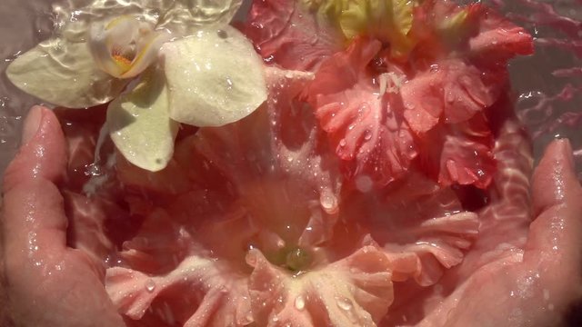 Sparkling rain drops falling down on beautiful flowers in woman hands against water surface. Beautiful colorful relax composition. Close up slow motion shot. Top view.