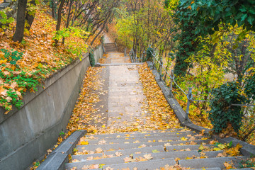 Fototapeta na wymiar Park walkway at Buda Hill Castle, Budapest, Hungary. Autumn.