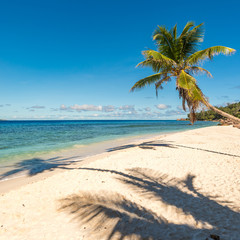 Tropical island beach. Perfect vacation background.