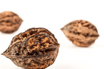 three large wild walnuts on a white background. focus in the foreground.