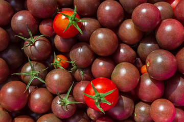 Delicious red and purple tomatoes . Summer day in tray market . It can be used as background. selective focus