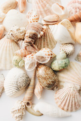 Pile of beautiful sea shells on white background