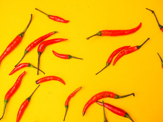 red chilli on yellow background