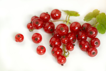 Red currant berries with leaf isolated on white background.