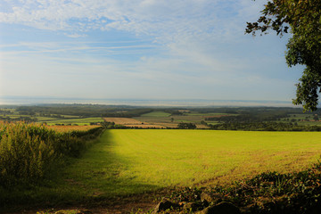 Fototapeta premium Morning walk through the fields.
