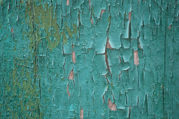 Old peeling paint on a wooden board. Green painted cracked board. Green wood background.